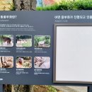 서울스카시 이미지