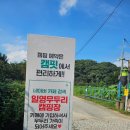 일영약국 이미지