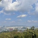 GS무술공원점 | 할 가족, 연인데이트 여행지 N서울타워(남산타워) : 구절초 꽃구경, 자물쇠, 포토존, 전통무예공연 후기