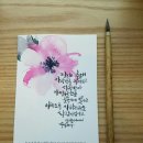 수채캘리그라피 이미지