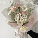 스위트드림플라워