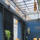 타오(중국식) 이미지