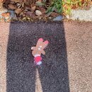 인디고 미술학원 | 새로운 마음