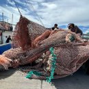 CW-1025-01 이미지