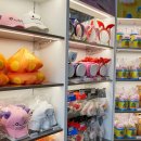 서충주비상-2 이미지