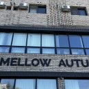 감성전주 | ☕ [내돈내산] 전주 혁신도시 감성카페 멜로우어텀 후기