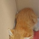 완산동 주민센터 이미지