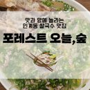 양지카서비스 | 인계동 맛집 쌀국수, 포레스트오늘숲[soup] 인계점 찐후기!