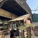 P-6107 | [베트남 사파 여행] 사파 3일차: 따반 마을 트래킹