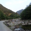 산호민박 이미지