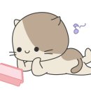 서울가락초등학교 이미지