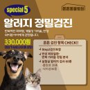 행복한 우리아이 동물병원 | 사랑스런 비숑 2마리의 꼼꼼한 건강검진 후기!위례 송파 성남 튼튼동물병원
