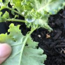 참약사패밀리약국 이미지