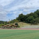 옥정체육공원 축구장 이미지