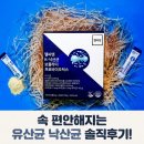 배가스쿨학원 | 가스 차고 더부룩한 배 속 편한 헬씨장 유산균 낙산균 솔직 후기