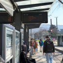 시청앞버스승강장 | [독일] 하이델베르크 당일치기: 프랑크푸르트 중앙역에서 기차 타고 다녀온 생생 후기