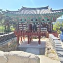 유가사등산로 이미지