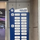 도이양과