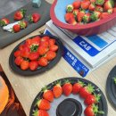 농축산농장 이미지