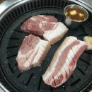 돈돈이네