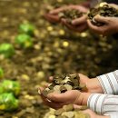 동전마을회관 이미지