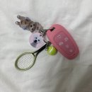 니드포테니스