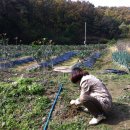 전임농장 이미지