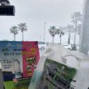 제주도 당일치기 여행 sk렌터카 제주지점 이용 후기