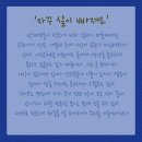 캣츠앤 이미지