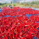 아린농장 이미지