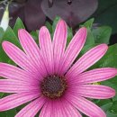 능허대공원 이미지