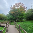 홍련봉공원 이미지