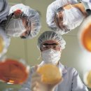 고려약품 이미지