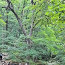 탐방객 - 삼등산산악회(충주) 라라등산클럽(대구) 봉화산악회(봉화) 이미지