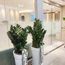 부천 맥스웰의원 이미지