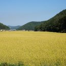 128민박 이미지