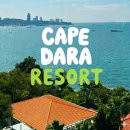 다라 | 파타야 숙소 전 객실 오션뷰의 끝판왕, 케이프다라 리조트 솔직 후기