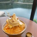남양주 대형카페 후탄 생망고 눈꽃빙수 후기 오남저수지 뷰
