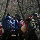 비금초등학교 이미지