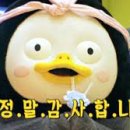휘게짐 이미지