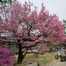 창신베스트 | 디자인 플라자 DDP 농부시장 마르쉐 다녀온 날｜차차티 클럽 창경궁 창덕궁 데이트 코스 동선 추천 후기