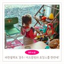 글램핑스테이션 | 라한셀렉트 경주 캠핑 인 더 정글 with 코베아 패키지 아이와 즐긴 키즈캠핑 호캉스 후기