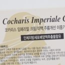 코카리스 이미지
