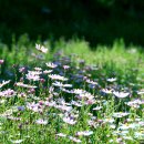 풍경이 머무는 곳 이미지