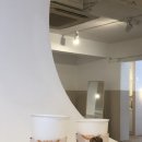 지알레빗