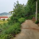 시골들판
