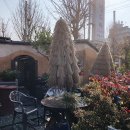 사림동284 이미지