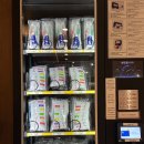 11545-10-13-36 | 거북섬 호텔 시엘로 아이랑 오션스위트룸 후기｜무료조식•인피니트풀 포함 솔직비교