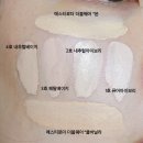 N115 | 개코가 쓰는 개코가 만든 화장품 롬앤 리뷰 ( 파운데이션 색 비교 / 매트립스틱 )