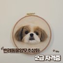 보니또따 | 반려동물 양모 초상화 지도 사 2급 자격증 따봤어요—솔직 후기(feat. 오랜만의 포스팅)